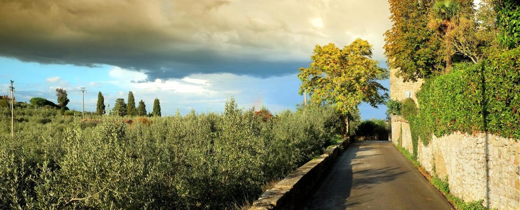 Fondaco Del Moro Bed and Breakfast Civitella in Val di Chiana Eksteriør billede